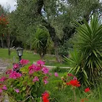 Kanonia Gerakas