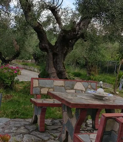 Kanonia Gerakas Vasilikí