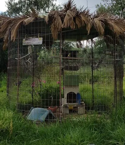 Villa Kanonia Gerakas Vasilikí