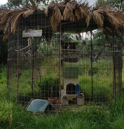 Villa Kanonia Gerakas Vasilikí